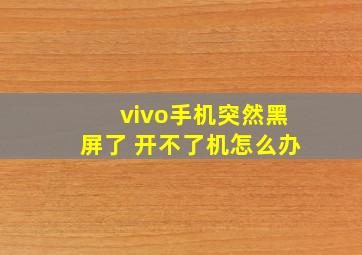 vivo手机突然黑屏了 开不了机怎么办